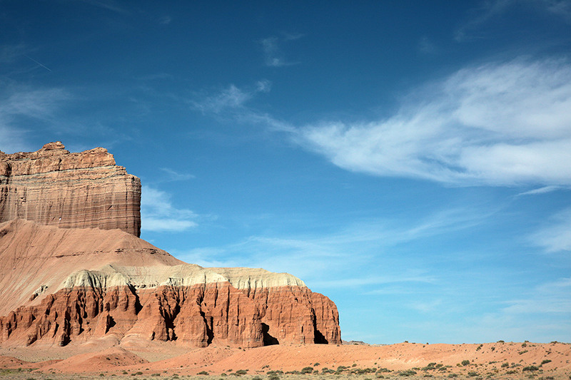 Bison : Antelope Island : Utah : Landscape Photos : Richard Moore : Photographer